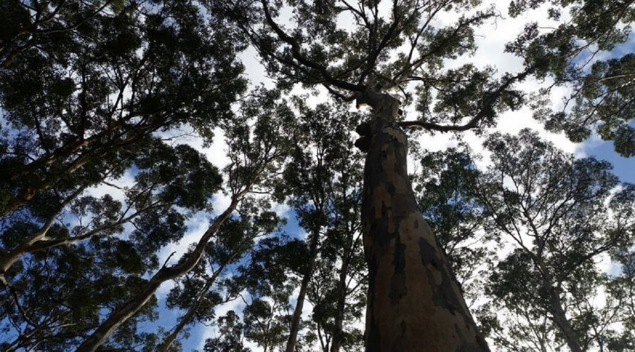 Margaret River Beer Tasting Tour from Perth - imagen 5