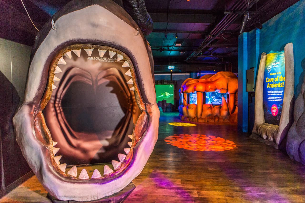 SEA LIFE Melbourne Aquarium Direct Entry Ticket - image 13