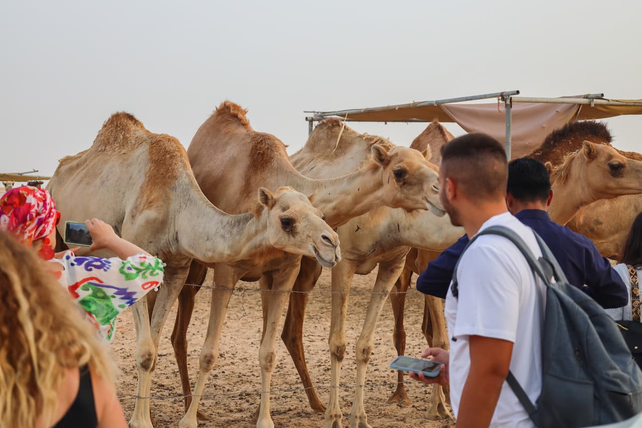 Desert Safari Tour from Abu Dhabi - image 9