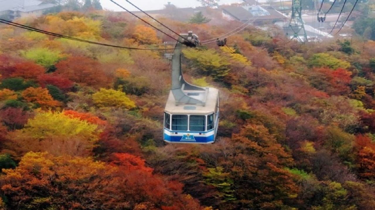 Mount Fuji and Hakone Tour - image 4