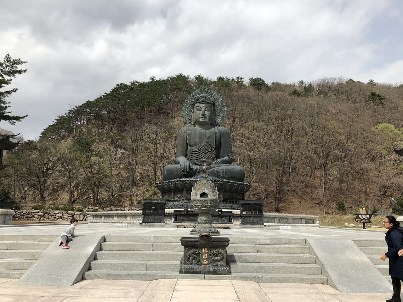 Nami Island, Mount Seorak, and Garden of Morning Calm Full-Day Tour from Seoul - image 37
