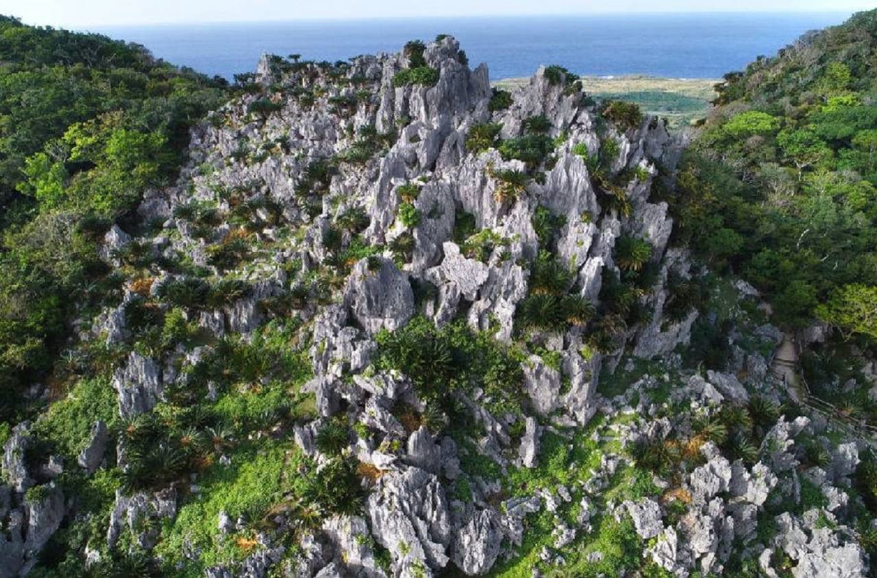 Okinawa Churaumi TokuToku 5 Pass - image 3
