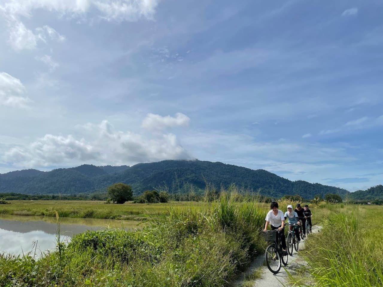 Tour en bicicleta por la campiña de Langkawi - imagen principal
