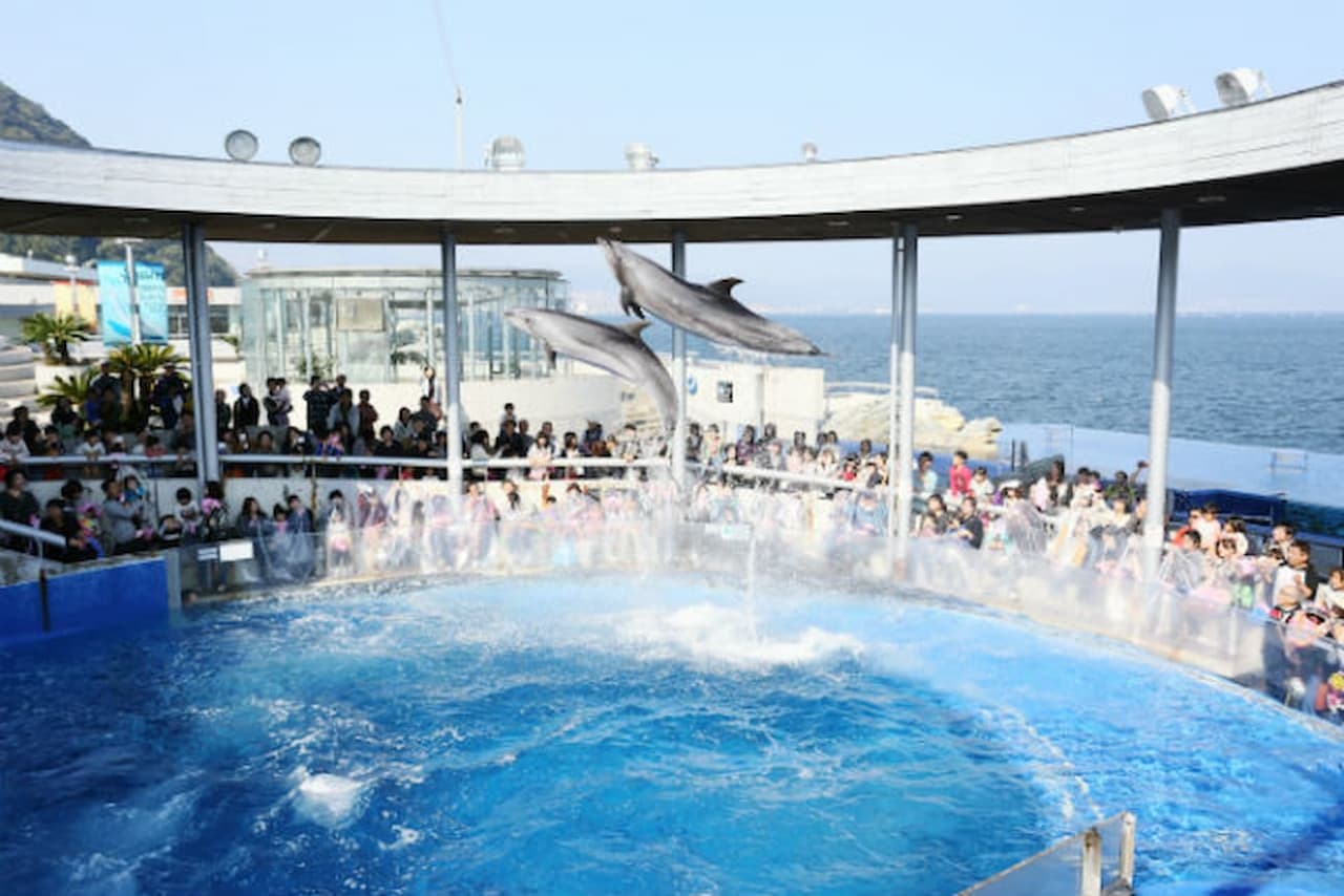 Oita Marine Palace Aquarium Umitamago Ticket - image 9