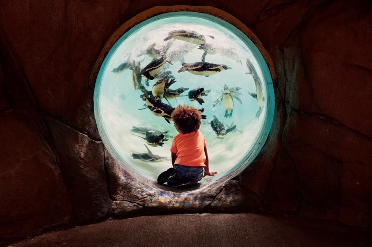 London Explorer Pass: Save up to 50% on Attractions - image 12