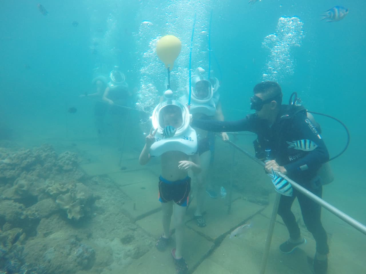 Cham Islands Underwater Walking and Snorkelling Half-Day Tour from Da Nang - image 4