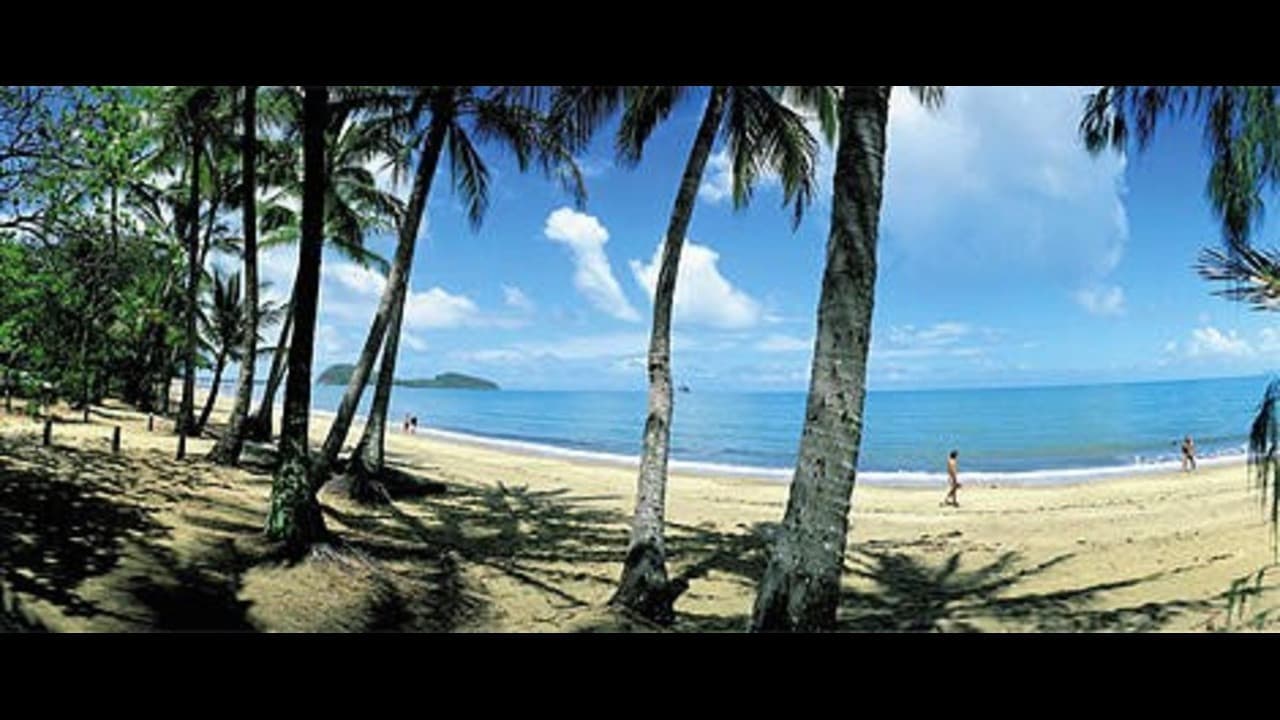 Hartley's Crocodile Adventures and Kuranda Tour from Port Douglas - image 6