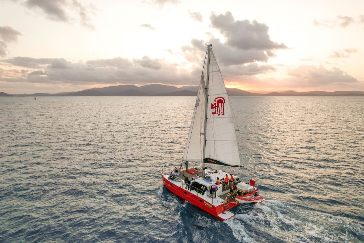 Tongarra Day Sailing Tour - image 14
