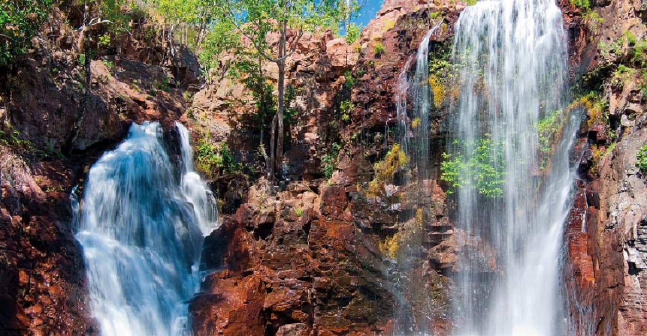 Litchfield National Park and Waterfalls Tour from Darwin - image 5
