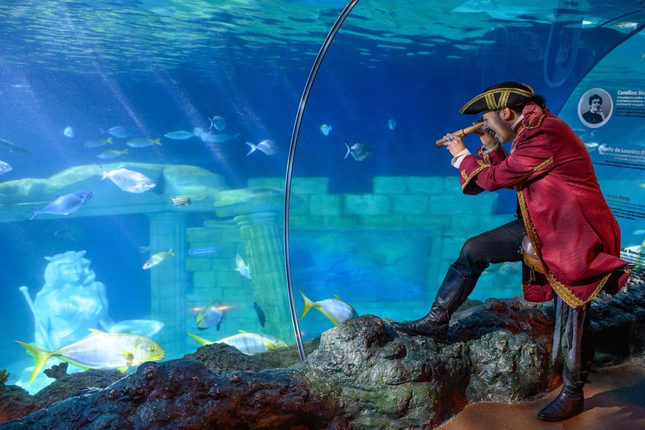 SEA LIFE Porto Ticket - image 6