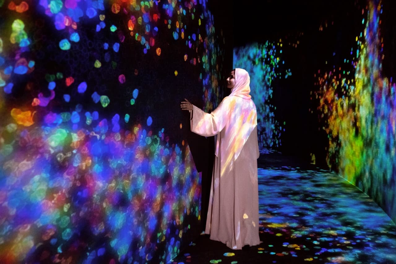 COMBO: Louvre Abu Dhabi + teamLab Phenomena Ticket - image 6