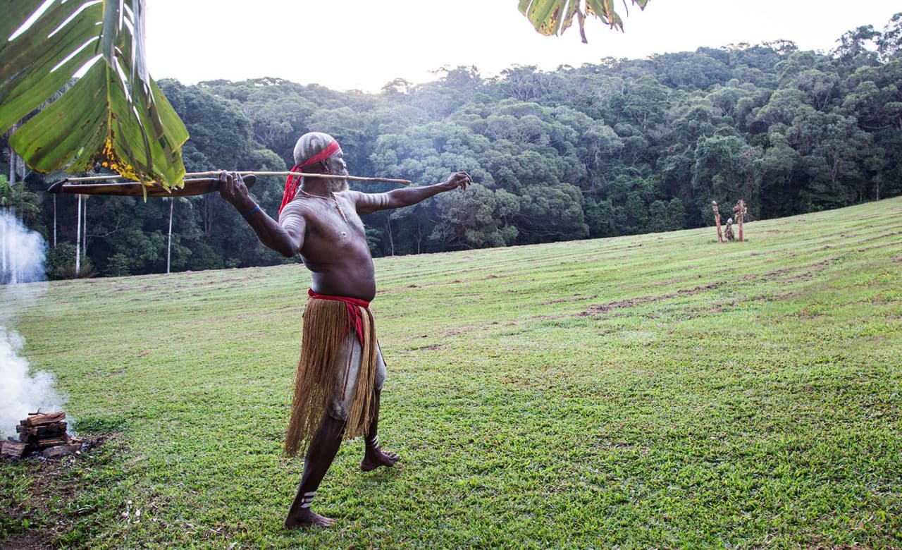 Full-Day Kuranda Tour with Skyrail Cableway, Scenic Railway, Rainforestation and Butterfly Sanctuary - image 11