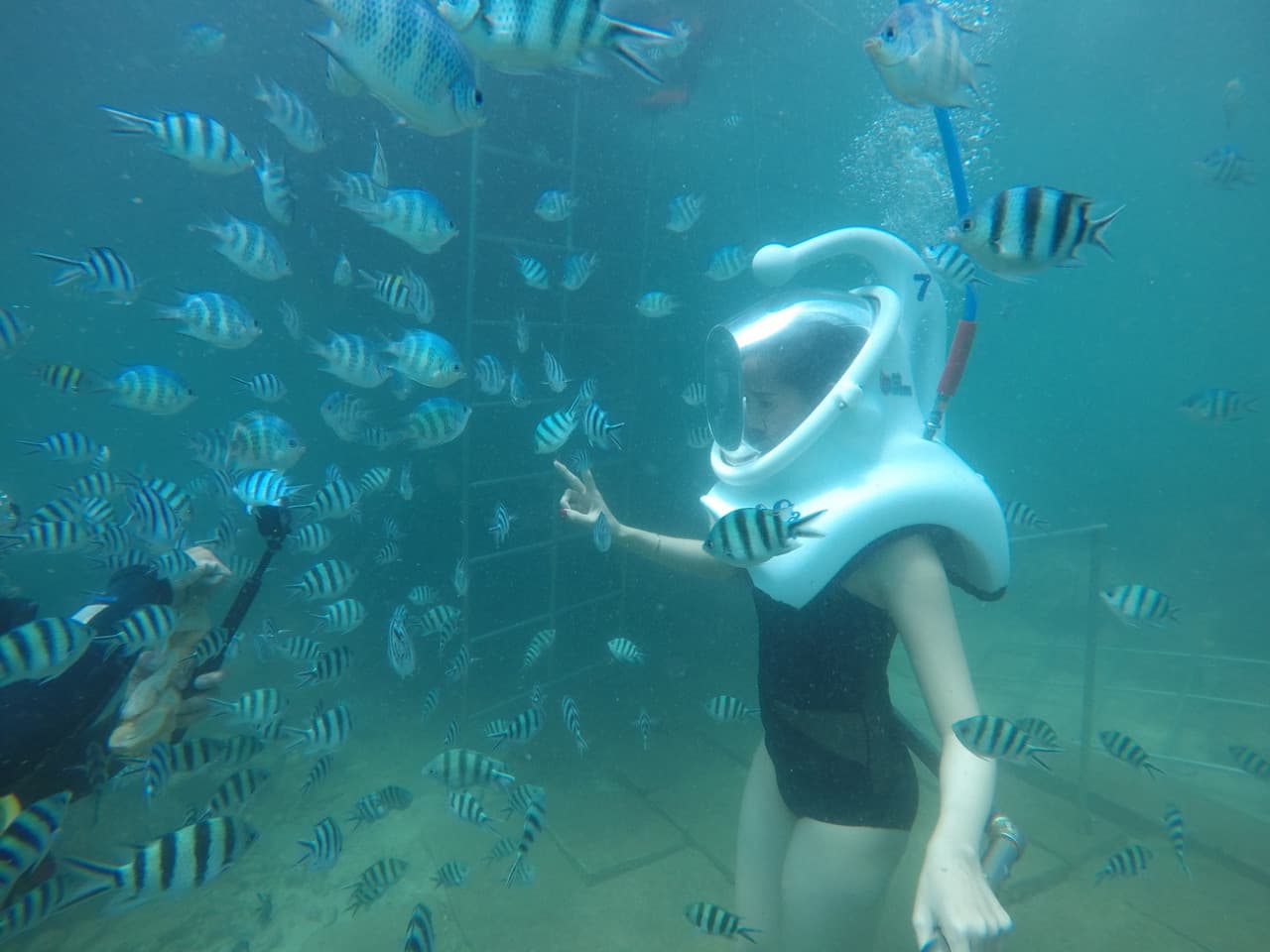 Cham Islands Underwater Walking and Snorkelling Half-Day Tour from Da Nang - image 2