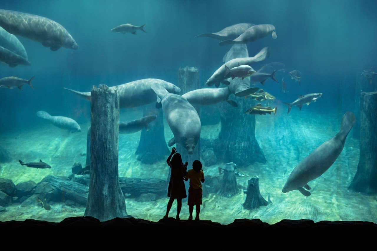 5-in-1 Day Pass: Night Safari + Singapore Zoo + Bird Paradise + River Wonders + Rainforest Adventure - image 16