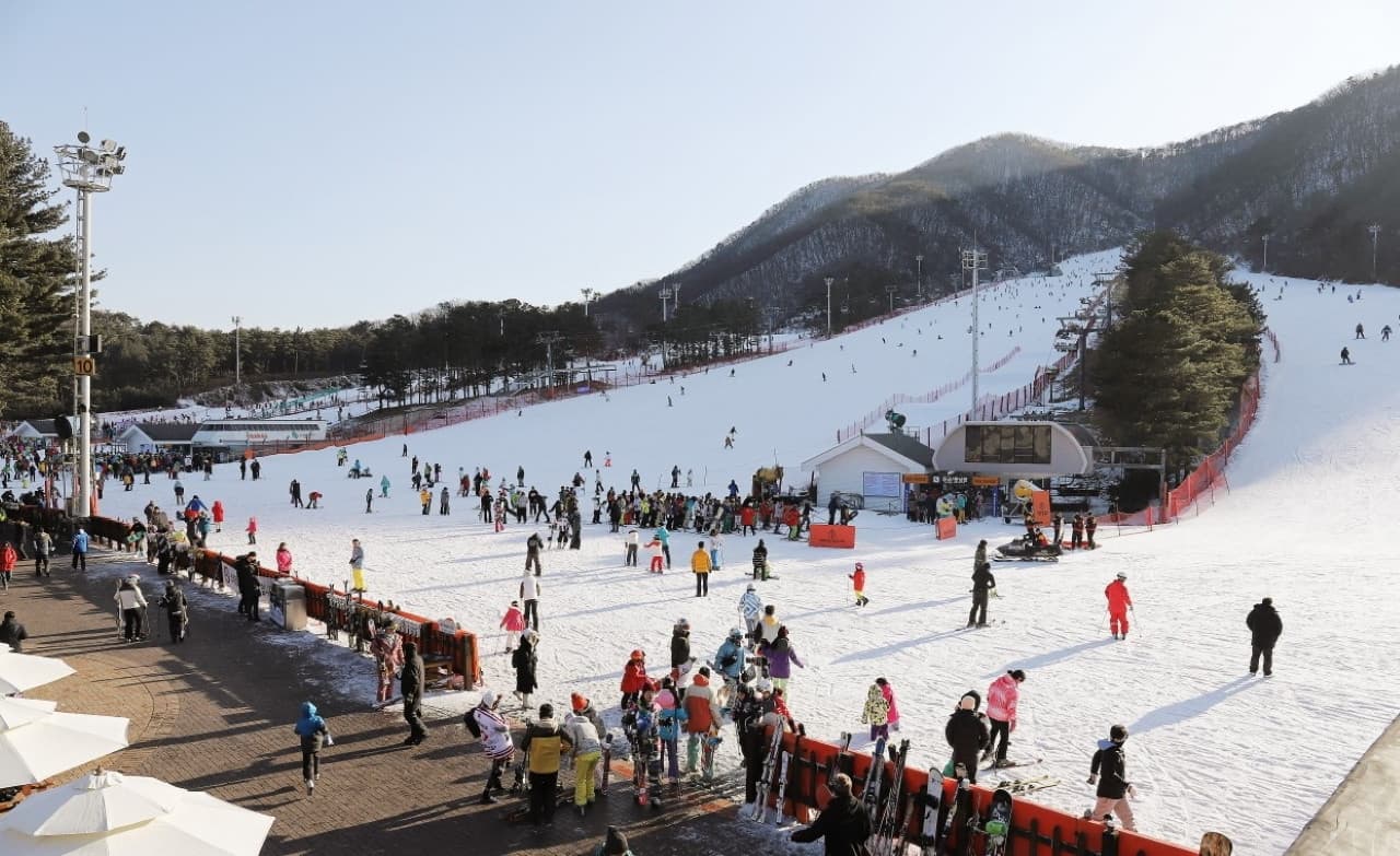 Jisan Forest Ski Resort Full-Day Tour from Seoul - image 10