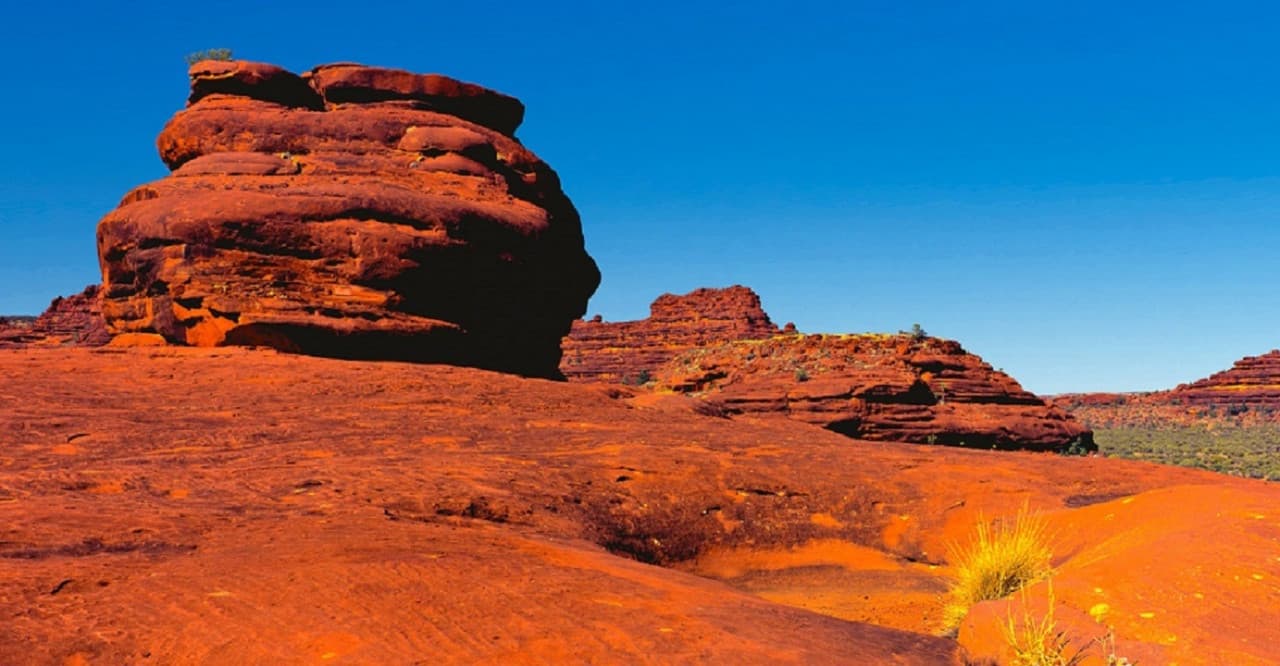 Palm Valley Outback Safari 4WD Tour - imagen 7
