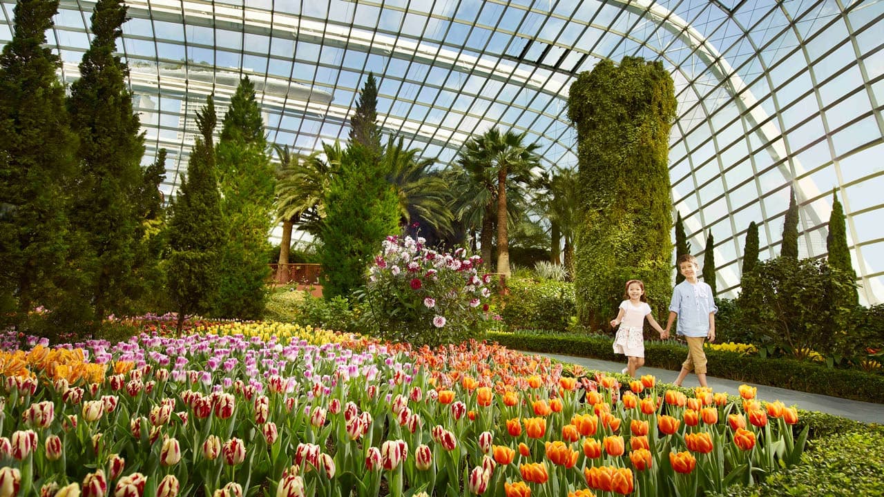COMBO: Gardens by the Bay - Double Conservatories + Floral Fantasy Ticket - image 6