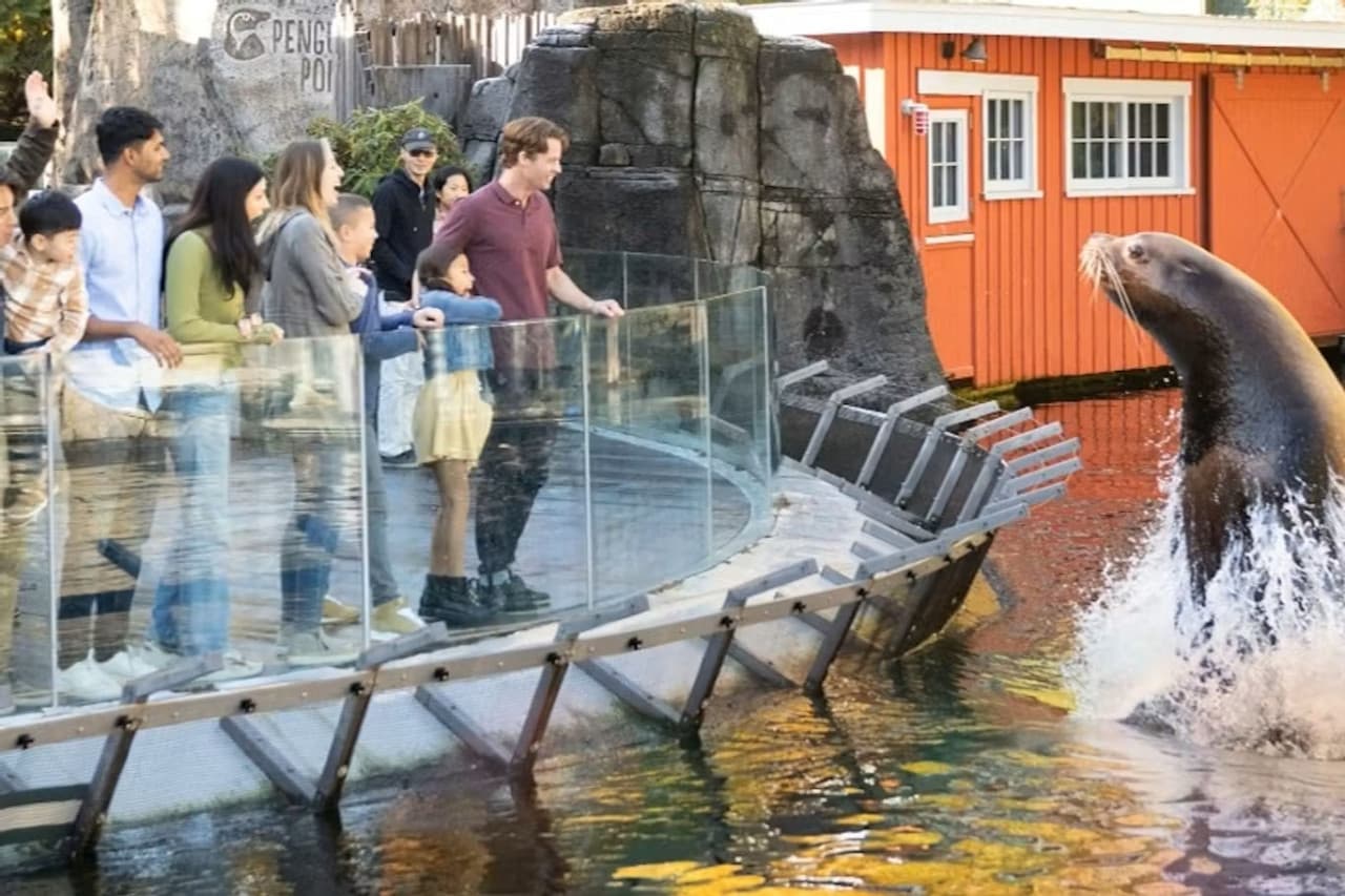 Vancouver Aquarium Ticket - image 3