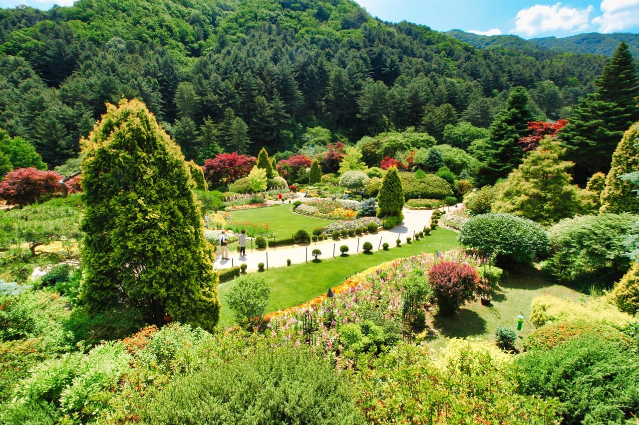 Nami Island, Mount Seorak, and Garden of Morning Calm Full-Day Tour from Seoul - image 27