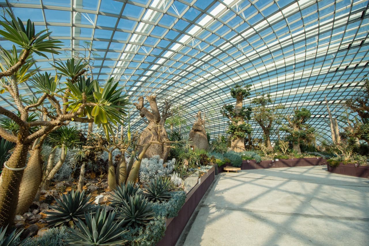 COMBO: Gardens by the Bay + National Orchid Garden Ticket - image 4