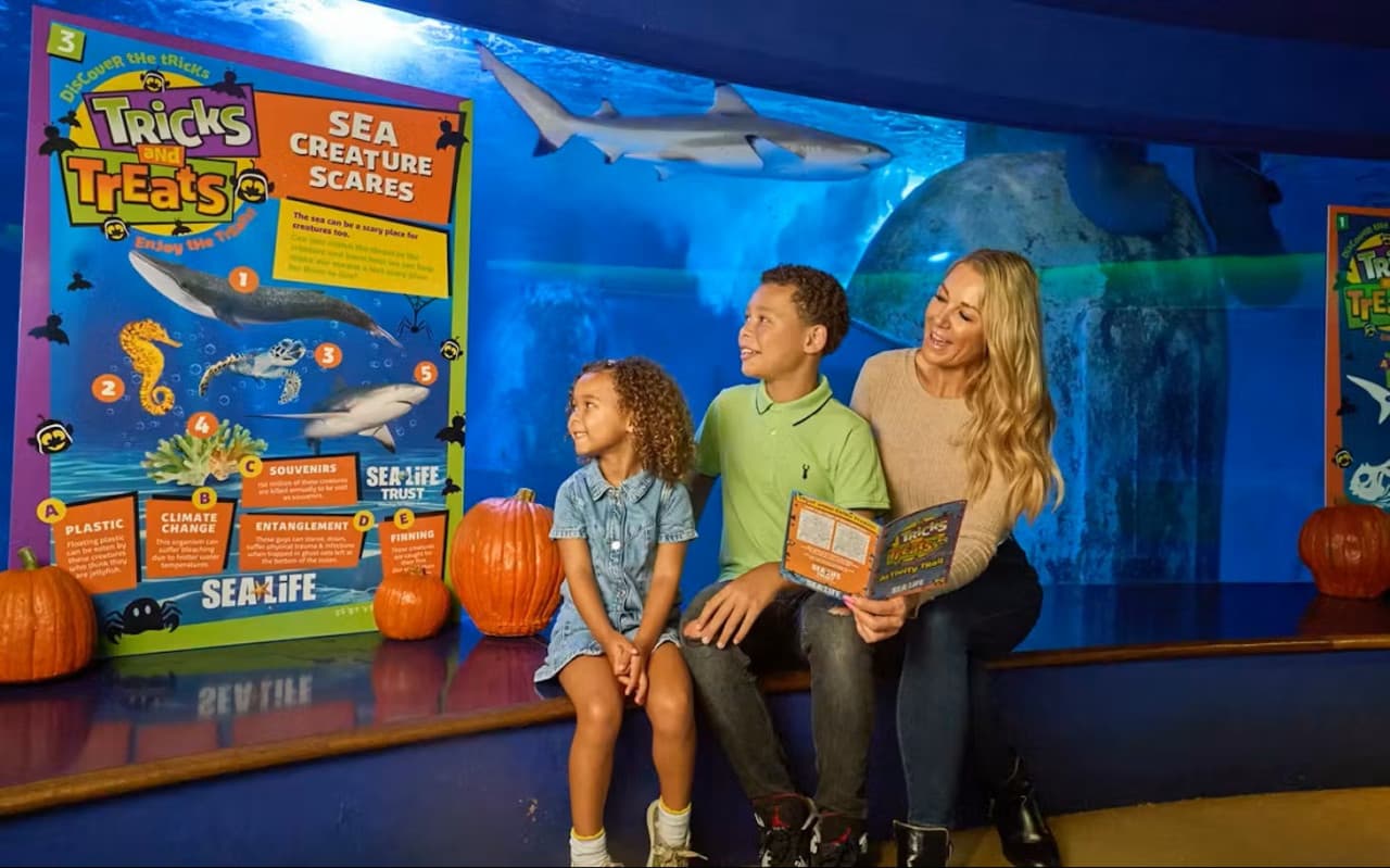 SEA LIFE New Jersey Aquarium Ticket - image 2