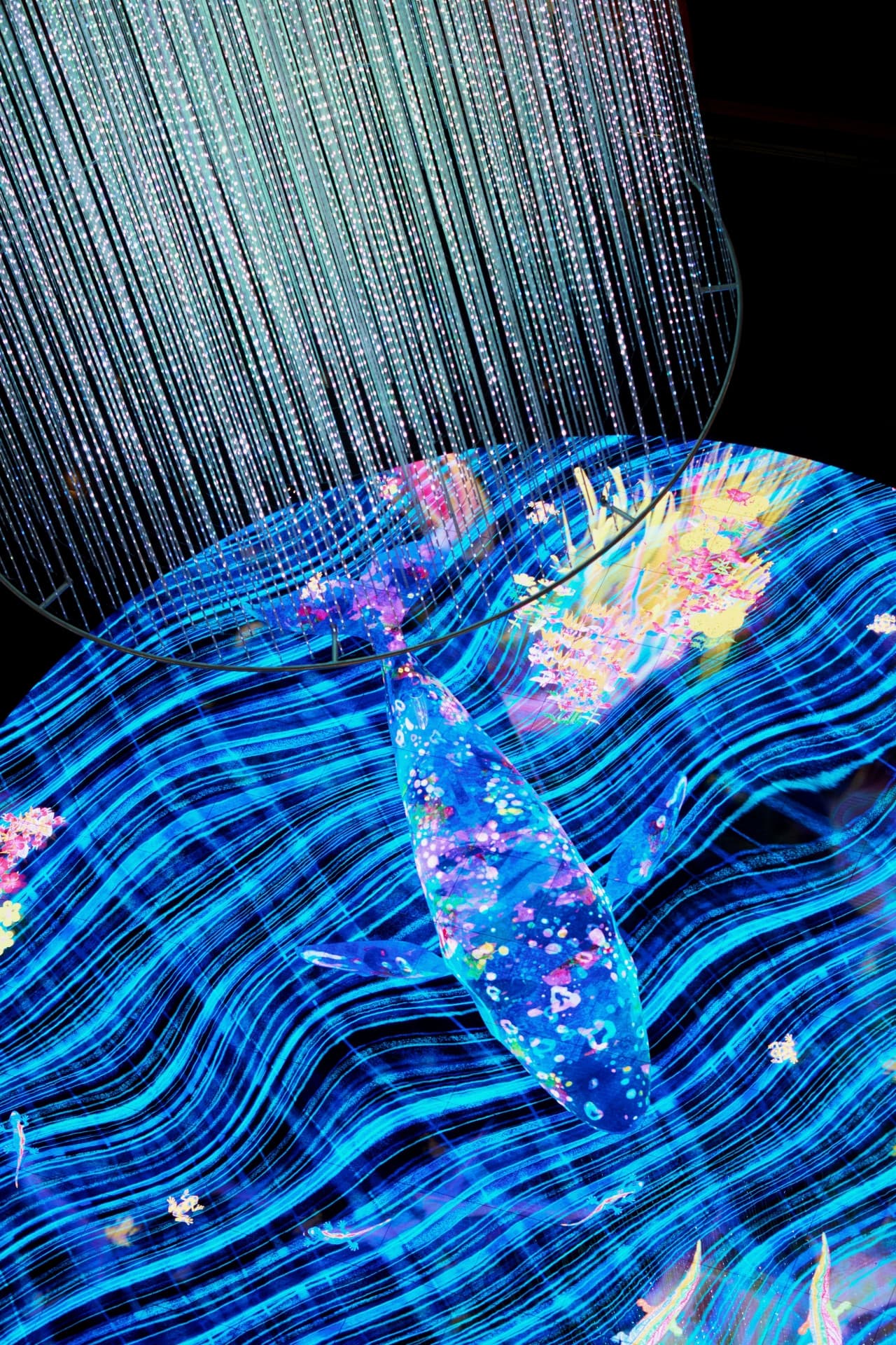 Entrada a Digital Light Canvas by teamLab - imagen principal