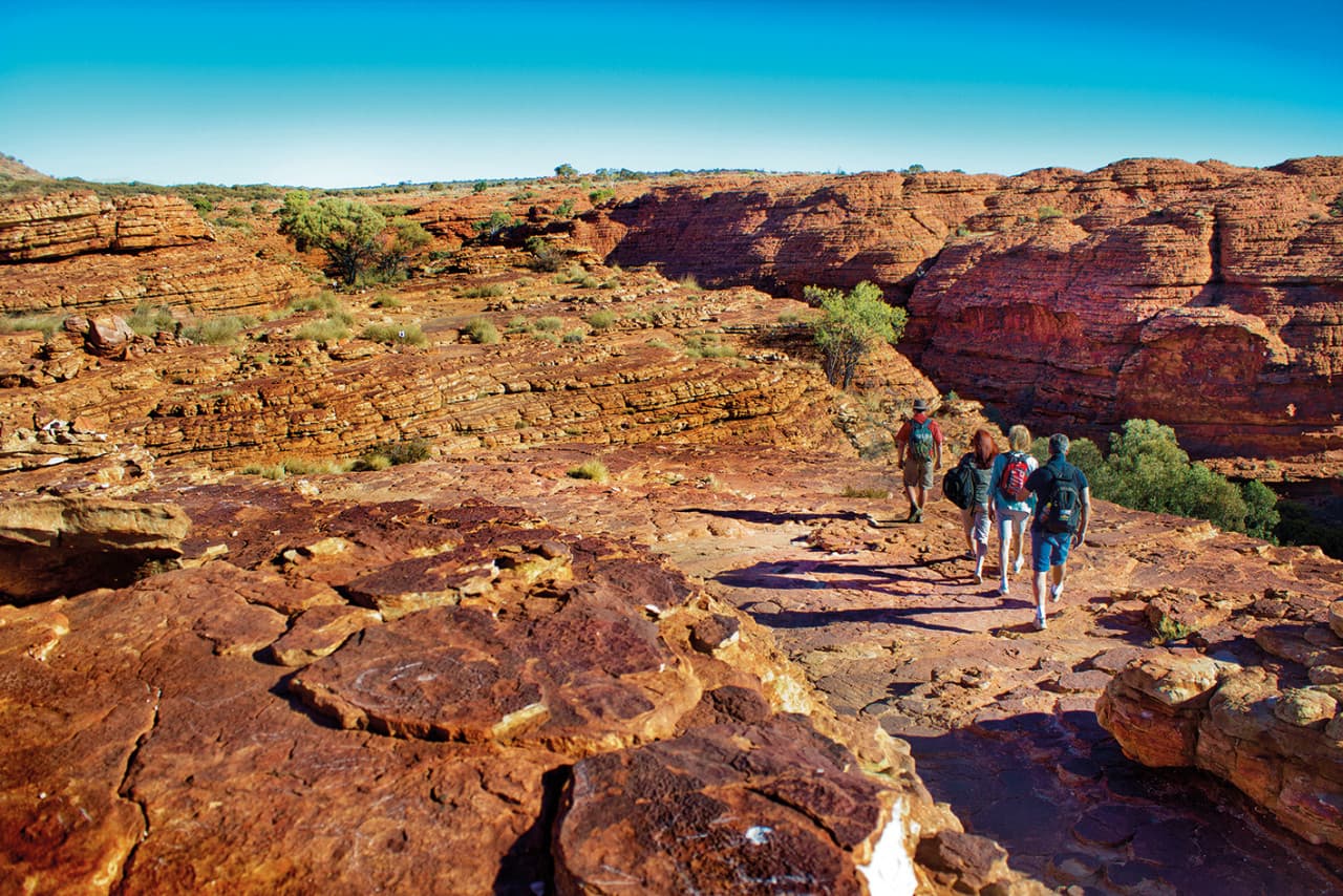 Palm Valley Outback Safari 4WD Tour - imagen principal