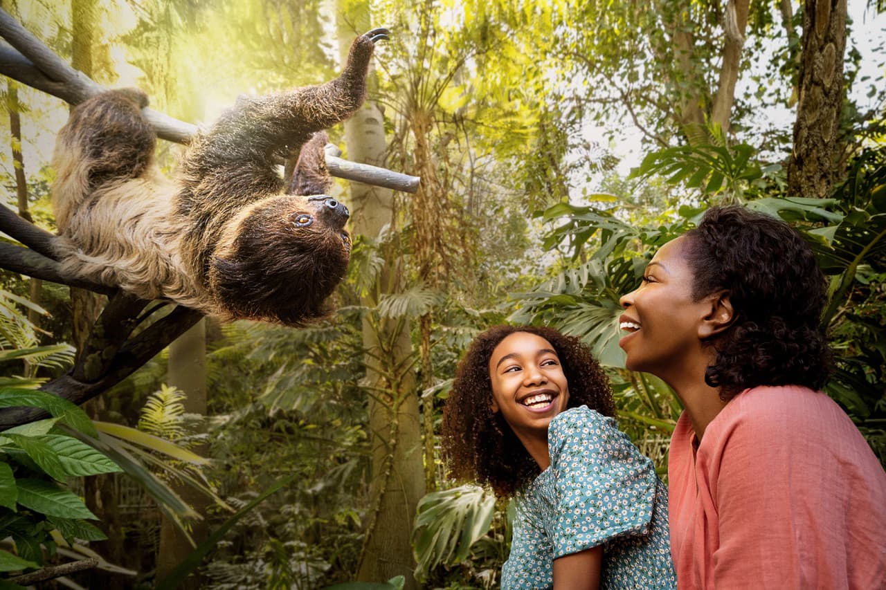 Go City San Diego Explorer Pass: Save up to 50% on Attractions - image 4