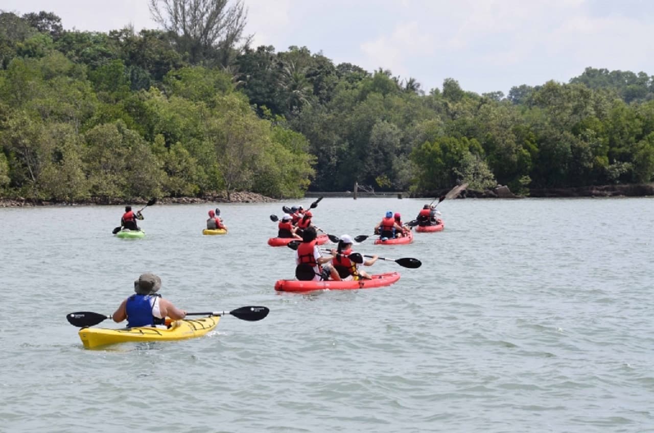 Kayaking at Ketam Island - image 15