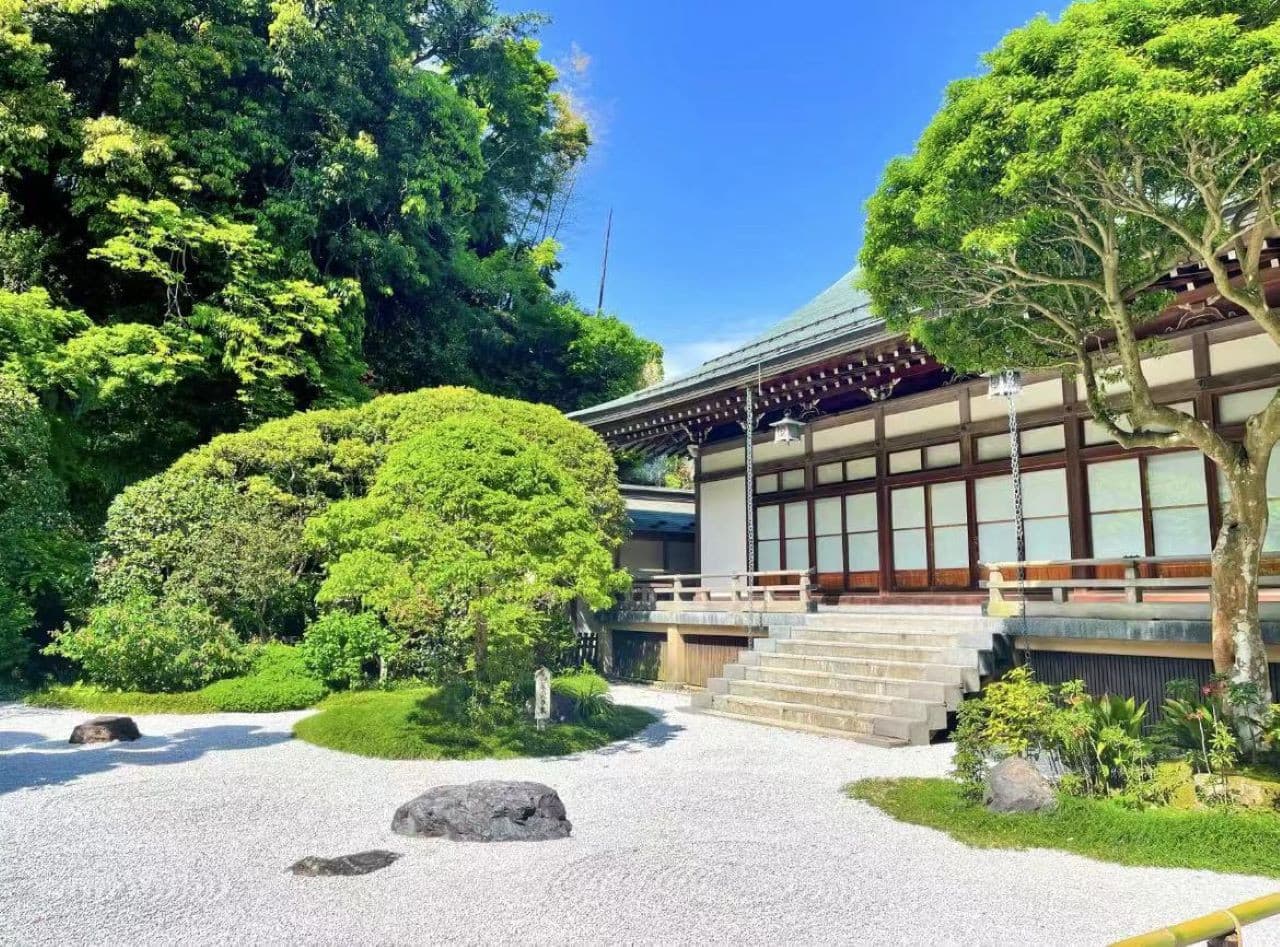 Kotoku-in Temple and Enoshima Day Tour from Tokyo - image 2