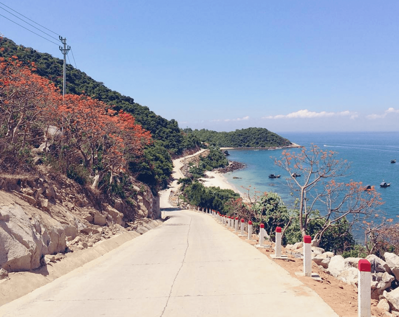 Cham Island Tour from Da Nang - image 2
