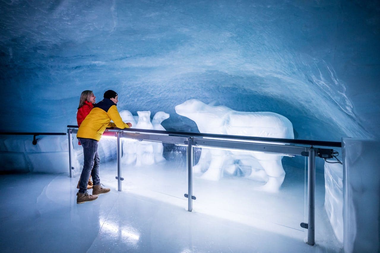 Jungfraujoch: Roundtrip Train from Grindelwald - image 3