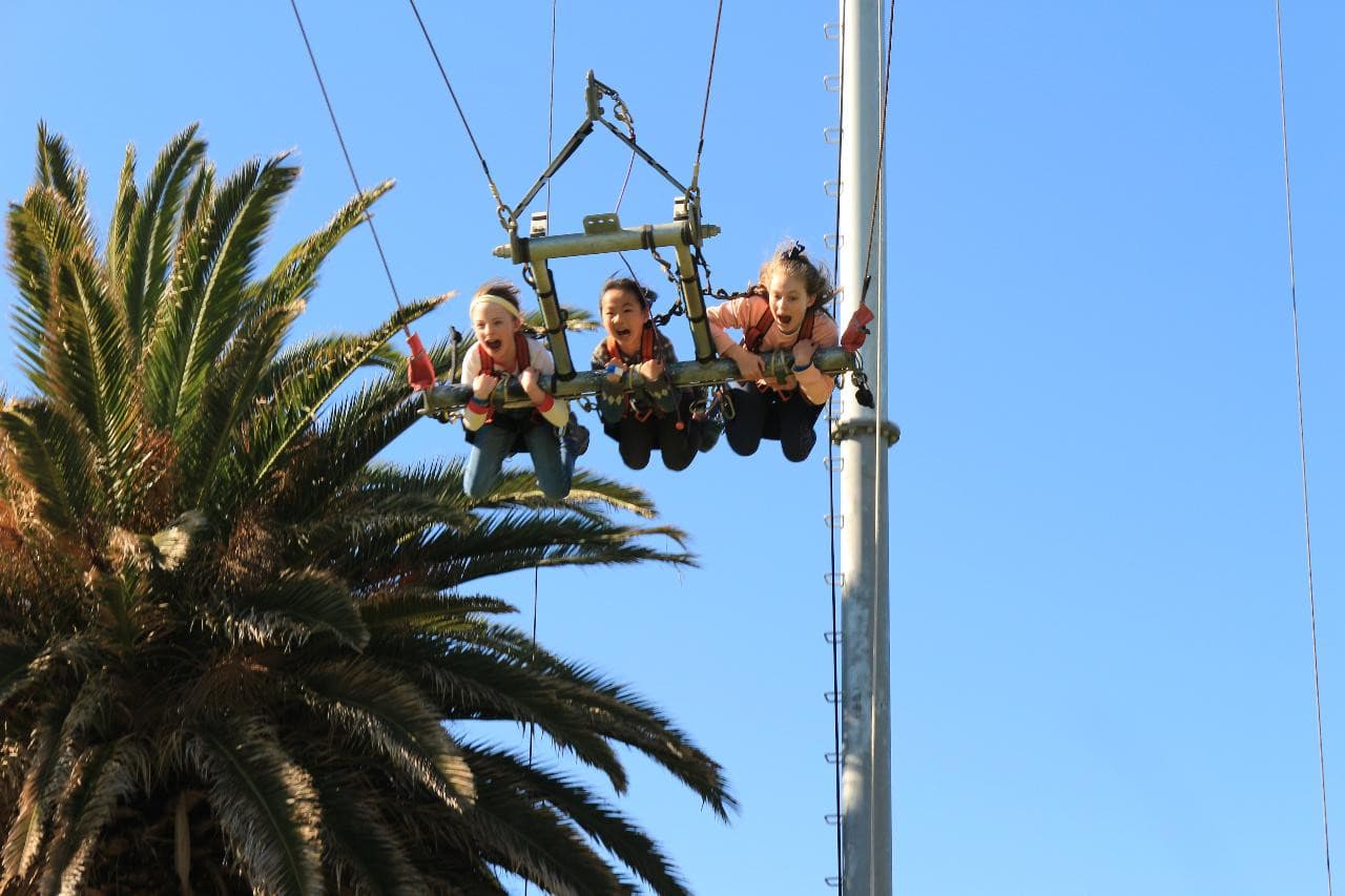 MegaClimb at West Beach Adventure Adelaide - image 7