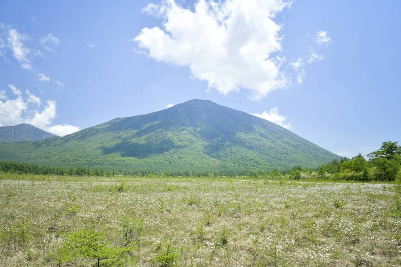 Nikko Pass All Area - image 5