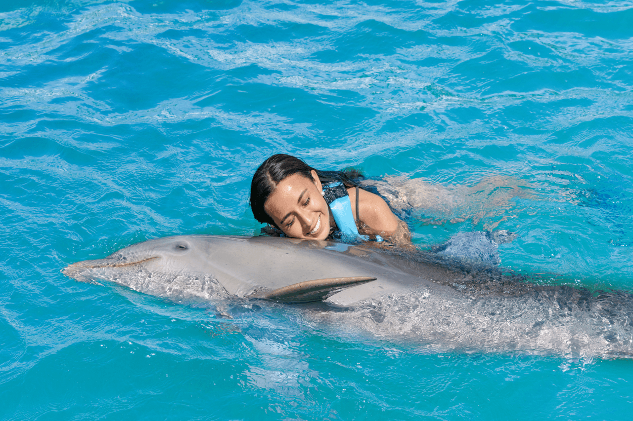 Go City Cancun Essentials Pass: 3 Attractions - image 7