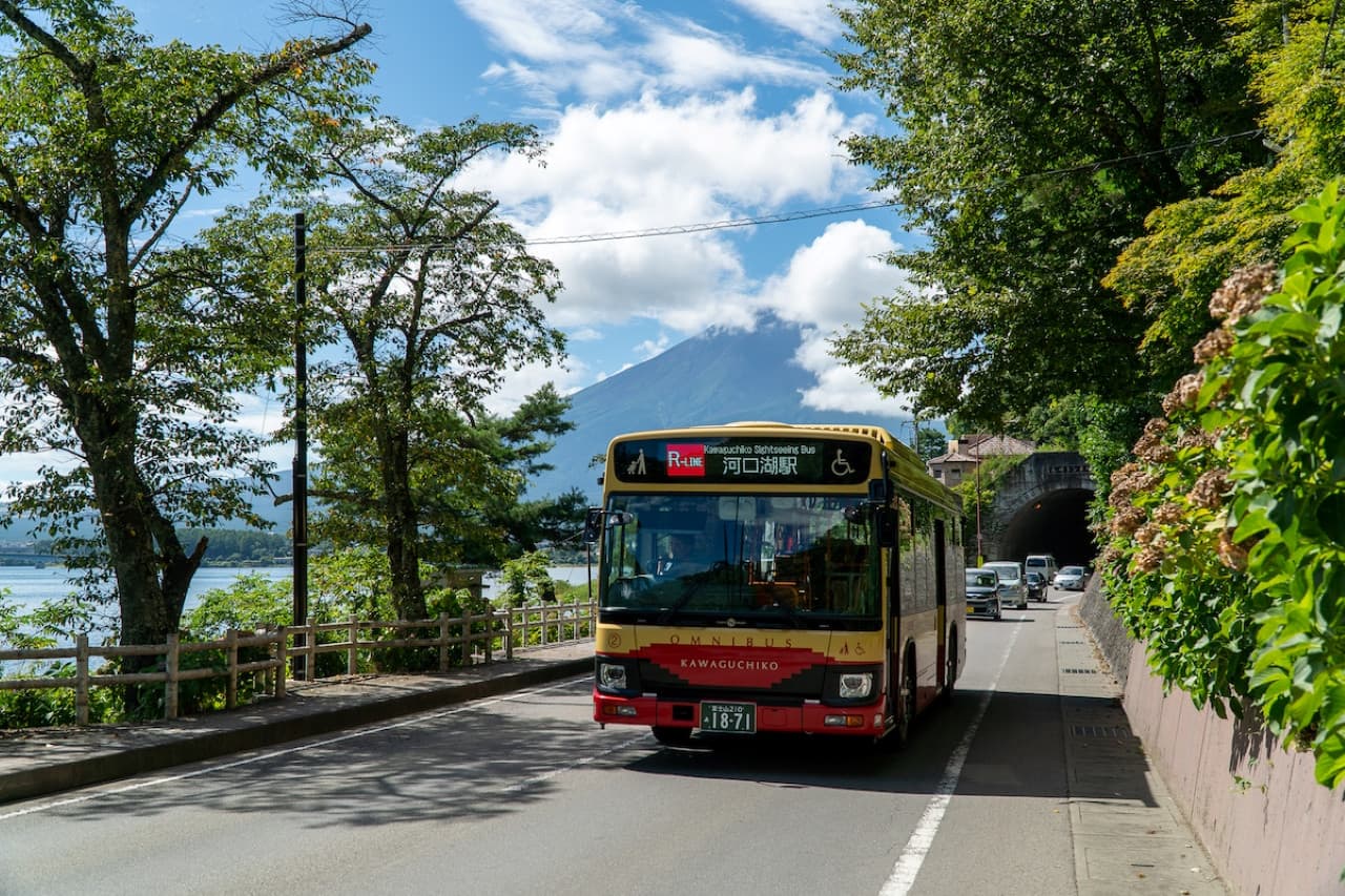 Fuji Hakone Pass - image 5