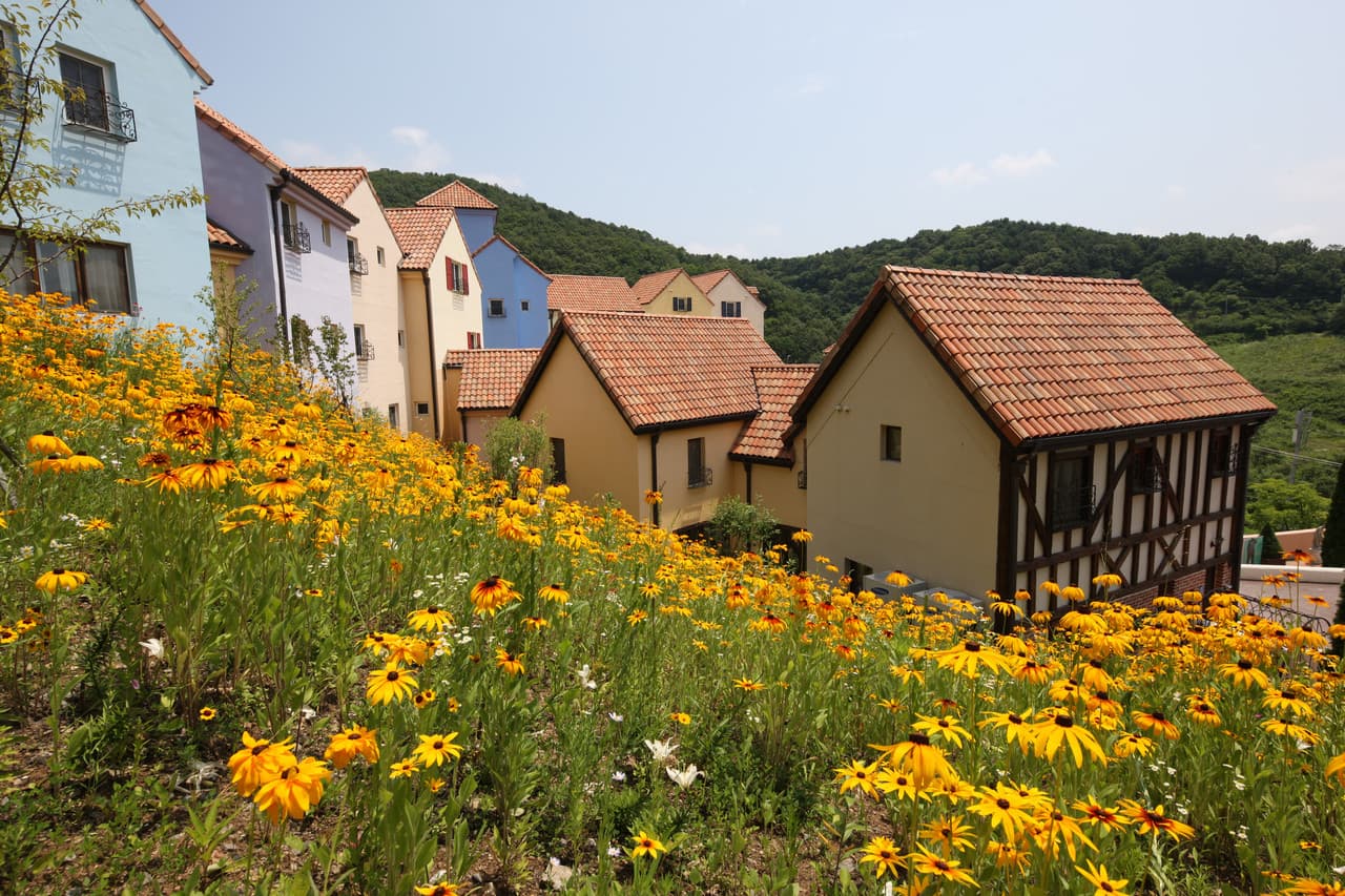 Nami Island, Petite France, and Italian Village Tour from Seoul - image 5