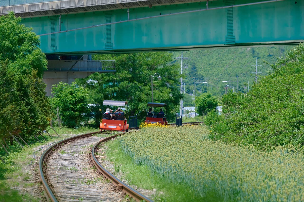 Nami Island, Mount Seorak, and Garden of Morning Calm Full-Day Tour from Seoul - image 32