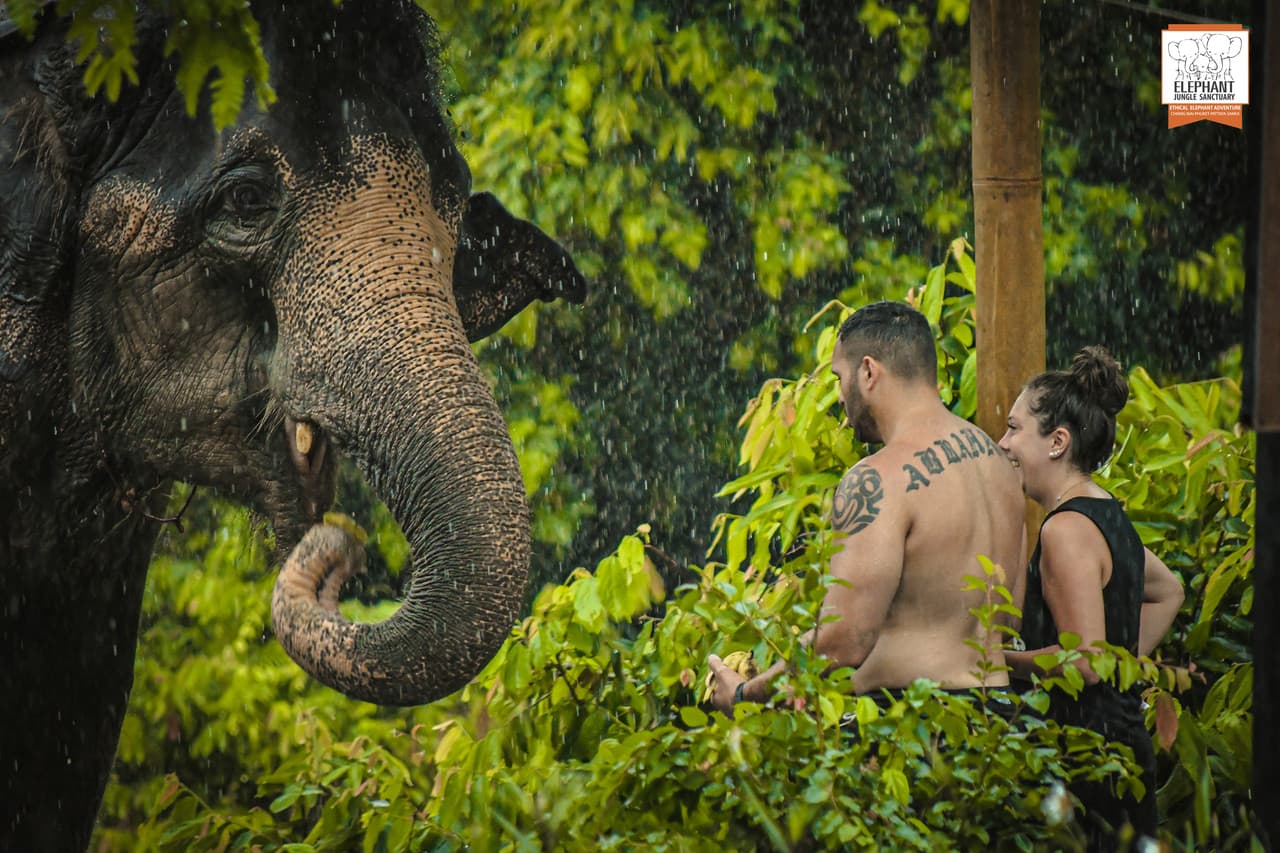 Elephant Jungle Sanctuary Phuket - image 19