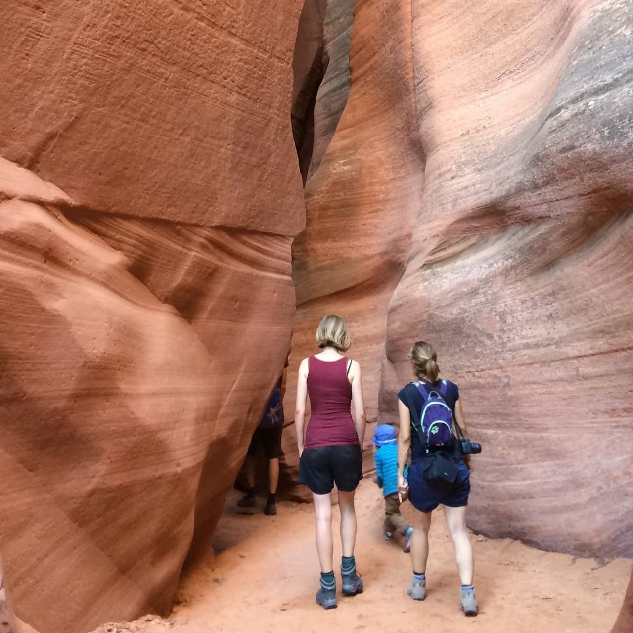 Antelope Canyon X and Horseshoe Bend Tour from Las Vegas - image 2