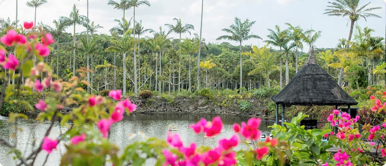 Okinawa Southeast Botanical Gardens - image 13