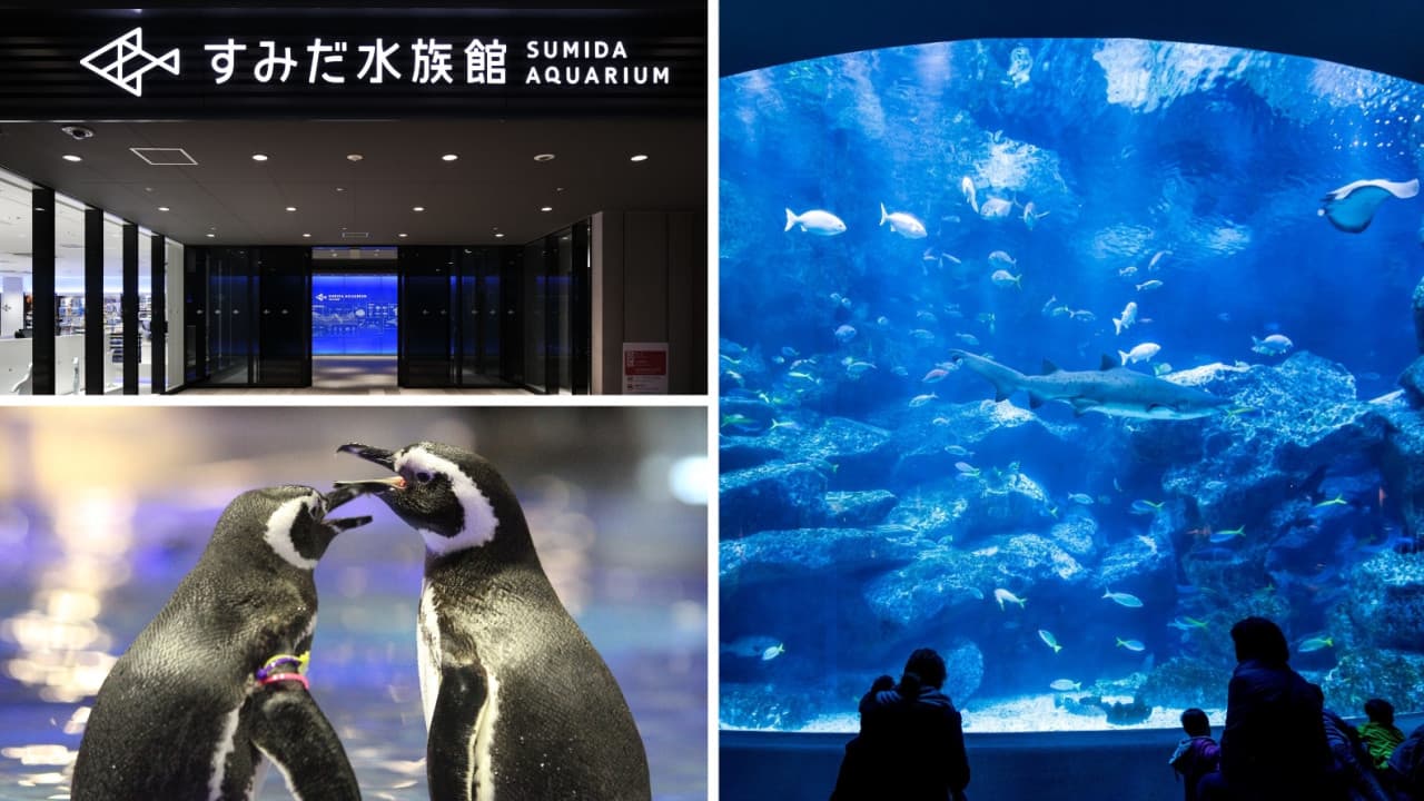 Have Fun in Tokyo Pass - 1 Week Free Pass - image 9