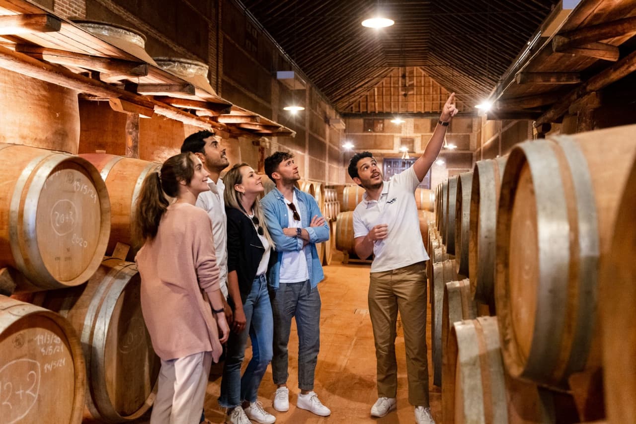 Toledo City Tour from Madrid with Wine Tasting Experience - image 8