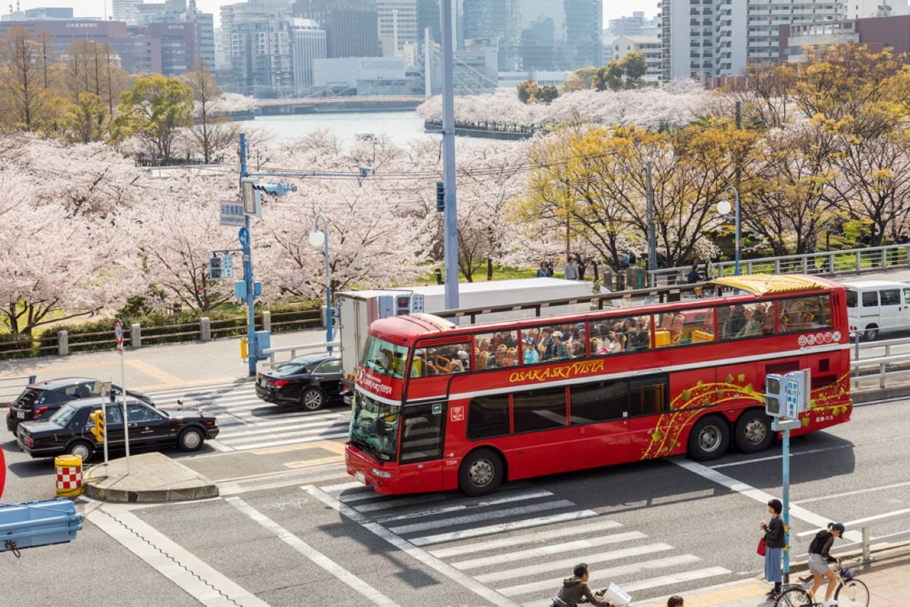 Osaka Sky Vista or Nani Wonder Sightseeing Bus Tour - image 16
