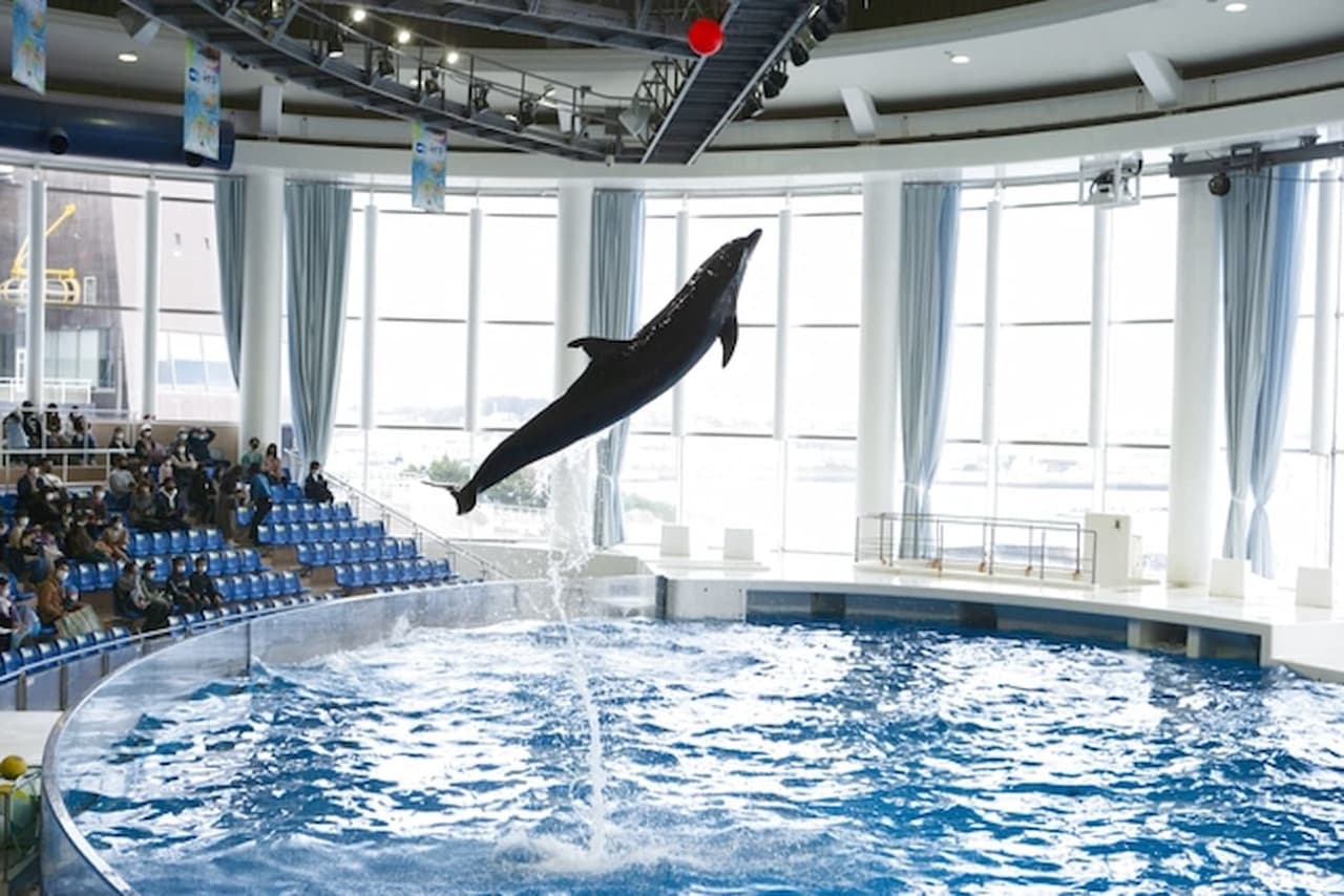 Aqua World Ibaraki Prefectural Oarai Aquarium Ticket - image 6
