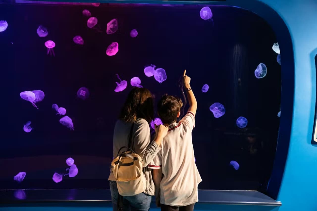 Georgia Aquarium: Fast Track Ticket - image 12