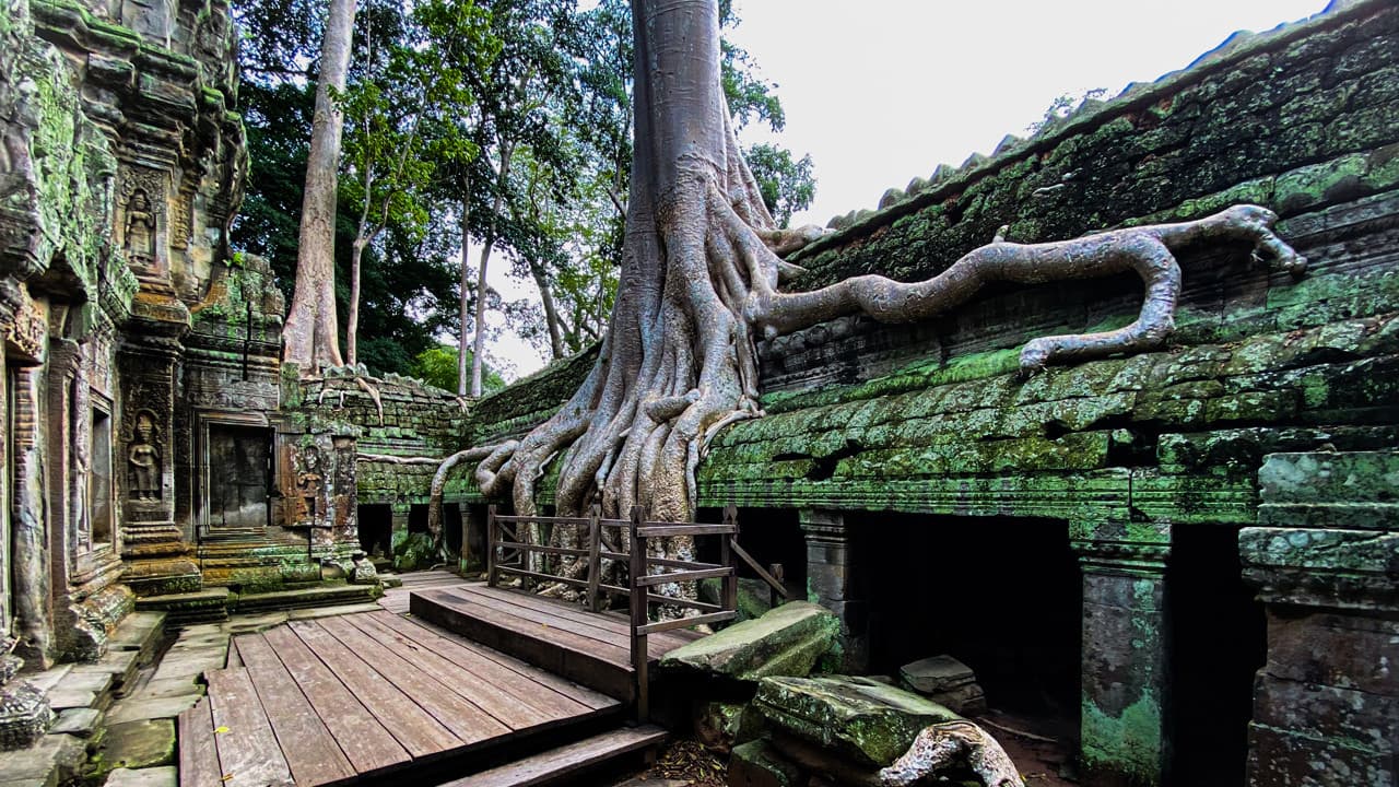 Angkor Temples Sunrise Tour by Tuk-Tuk - imagen 4