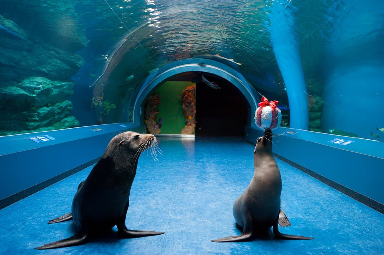 Maxell Aqua Park Shinagawa - image 2