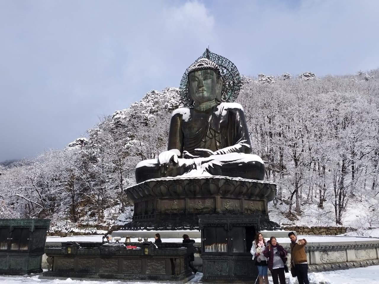 Nami Island, Mount Seorak, and Garden of Morning Calm Full-Day Tour from Seoul - image 21