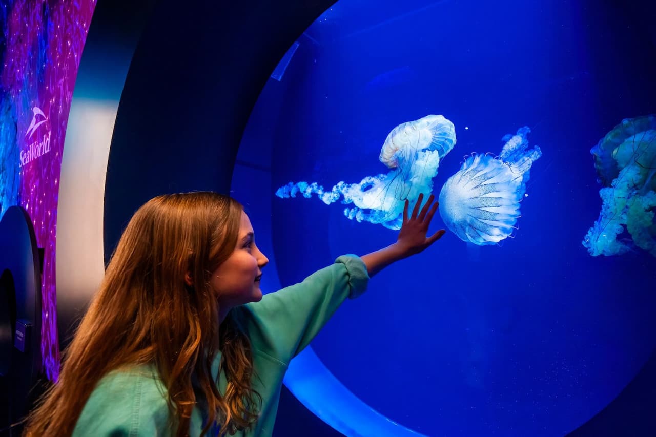 SeaWorld San Diego Ticket: Direct Entry - image 6
